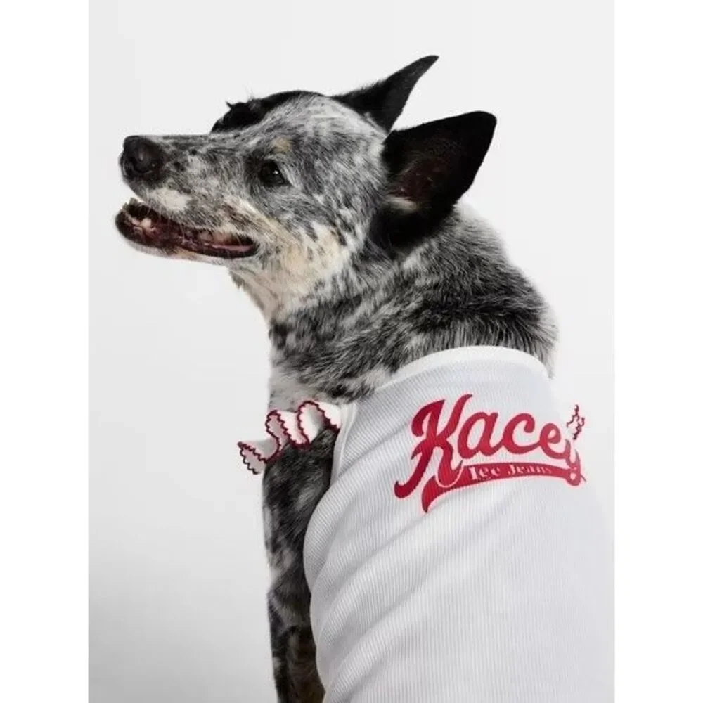 Kacey Lee Ruffled Spaghetti Strap Pet Tee for Cats and Dogs, Large - 25- 45 Lbs